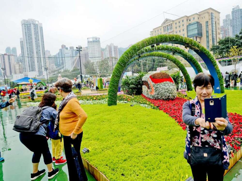 Hong Kong Flower Show to return to Victoria Park in March