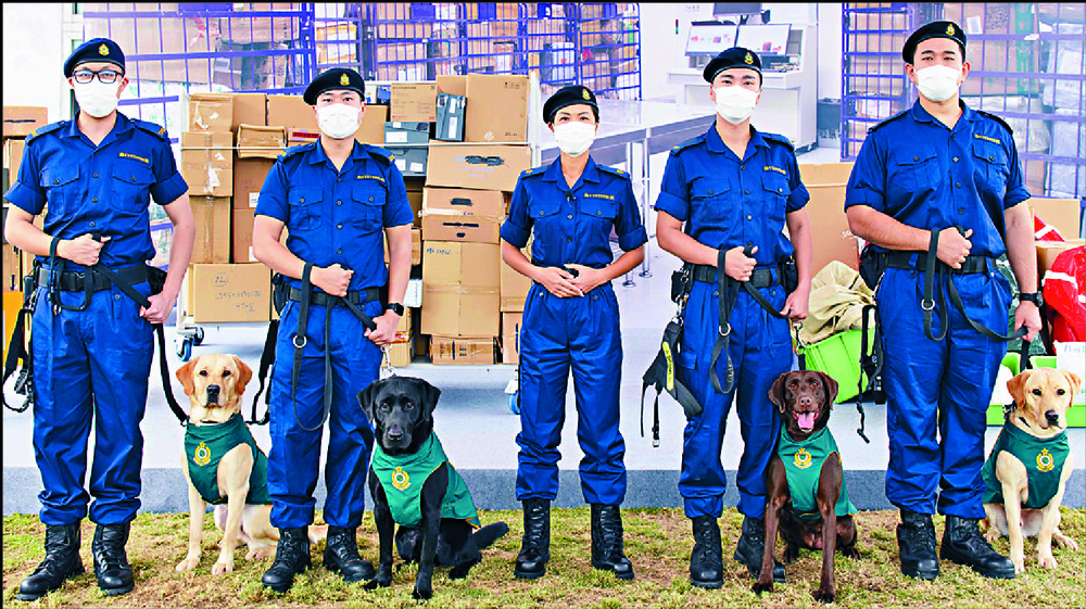 Dogs to sniff out smuggled guns