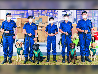 Dogs to sniff out smuggled guns