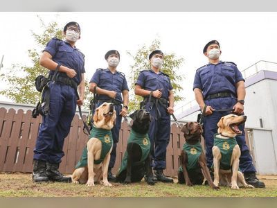 Hong Kong customs’ 4 sniffer dogs report for detection duty at airport