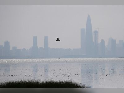 Green alliance demands wetlands study before Hong Kong megaproject proceeds