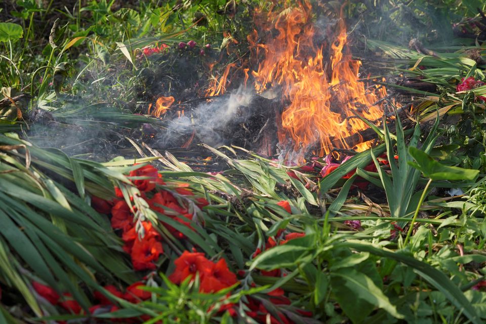 Lunar New Year flowers in flames as Hong Kong farmer burns unsold stock