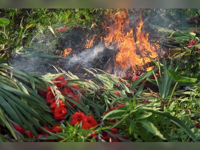 Lunar New Year flowers in flames as Hong Kong farmer burns unsold stock
