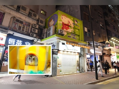 Hong Kong to cull all pet shop hamsters after the mammal tests positive for Covid-19 in world first