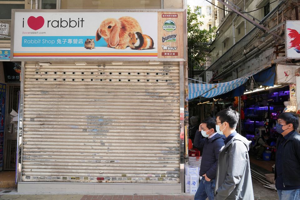 Hong Kong warns people to stop trying to prevent Covid hamster cull
