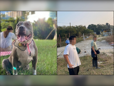 Pet dog Hippo beaten to death by group of people in front of owner