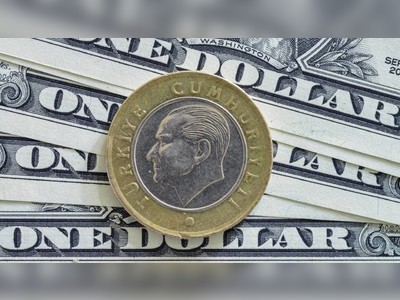 Turkey striving for rapid de-dollarization
