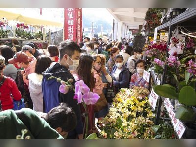 Thousands flock to Hong Kong flower market after Lunar New Year fairs axed