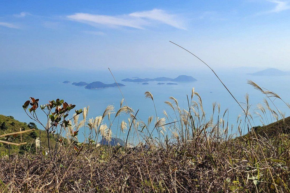 Two men collapse, die on Hong Kong hiking trails in separate incidents