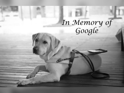 Hong Kong’s first locally trained guide dog Google dies of cancer