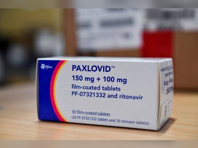 How do the two Covid-19 oral drugs molnupiravir and Paxlovid work?