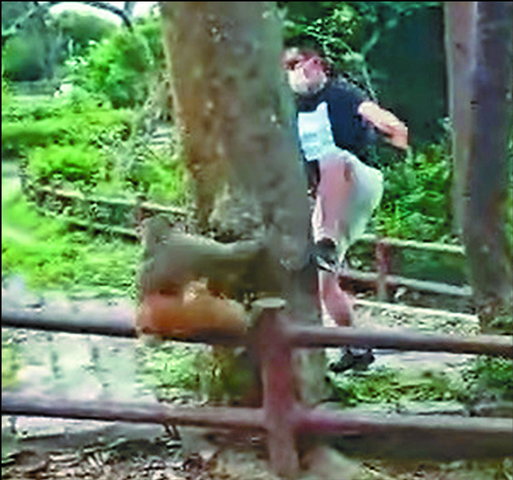 Man slammed for monkey business