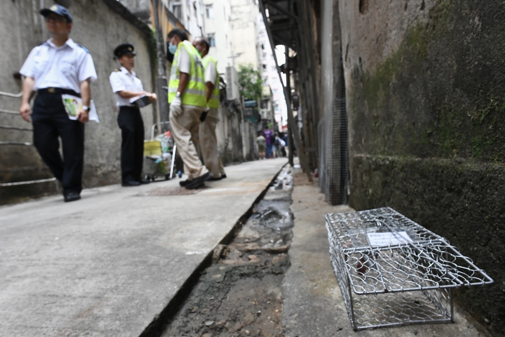 HK$10,000 bill for each rat killed