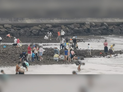 Starfish Bay sees crowds digging for clams at Easter raised concern about ecologic equilibrium