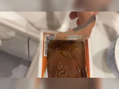Cockroach found in boxed duck blood