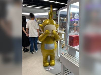 Boy knocks over $50,000 Teletubby sculpture, sparking debate over who should pay the bill