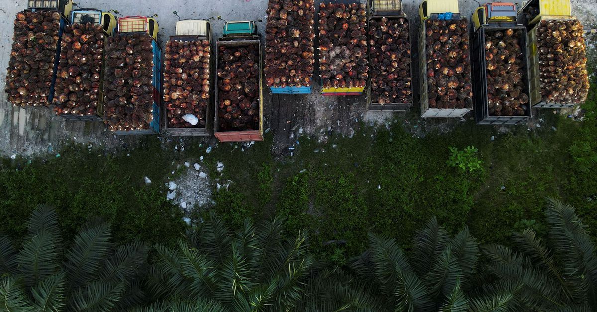 Indonesia has issued around 302,000 tonnes of palm oil export permits, official says