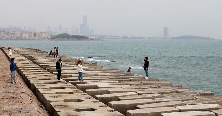 China's coastal ecosystems still unhealthy despite recent progress, official says
