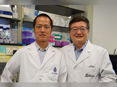 HKU and HKUST jointly discover an antibody that protects hamsters against Omicron variants