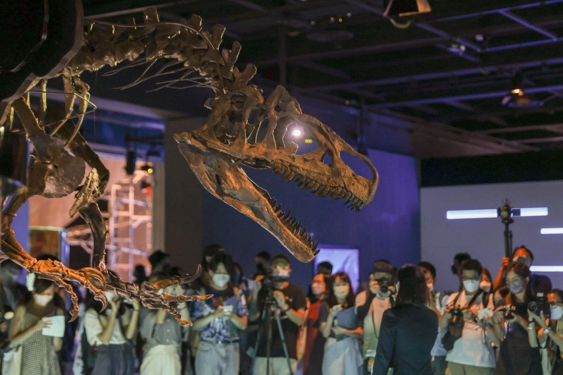 8 dinosaur fossils take over Hong Kong Science Museum for  exhibition