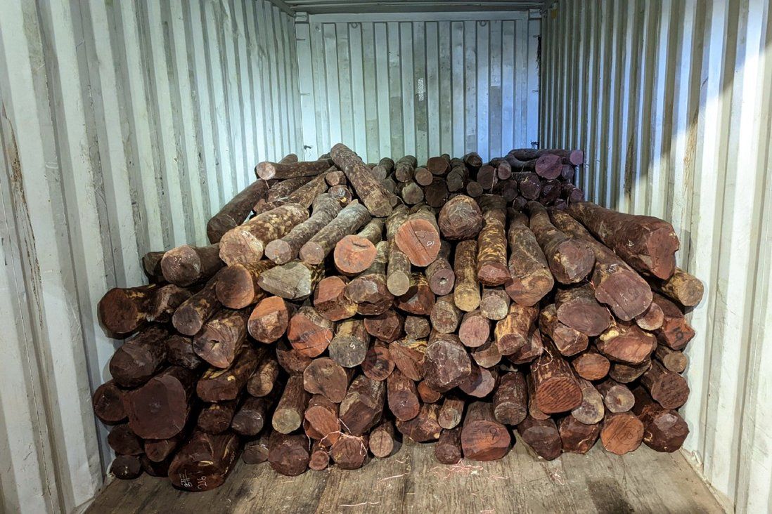 Hong Kong customs seizes 6.5 tonnes of protected wood during cargo inspection