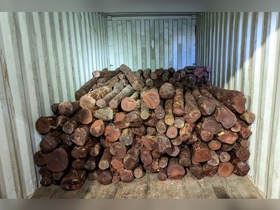 Hong Kong customs seizes 6.5 tonnes of protected wood during cargo inspection