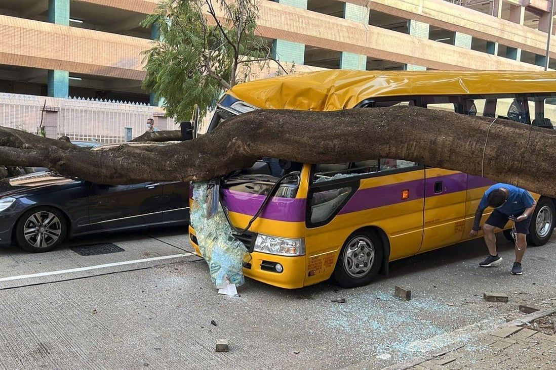 Hong Kong development chief vows to review policy after tree crashes onto bus
