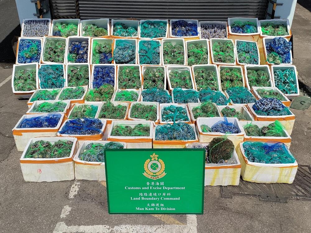 Customs seize 2700kg smuggled hairy crabs