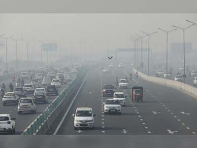 Scientists Discover A Solution To Bad Air Quality. Here's How