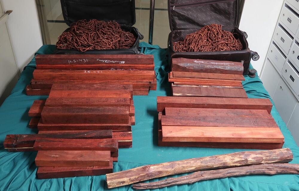 Customs seize HK$750,000 worth of protected red sandalwood