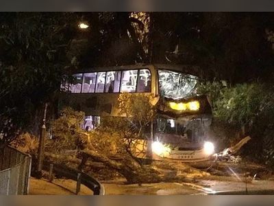 Tree that fell on Hong Kong bus injuring 7 was on private land, authorities say
