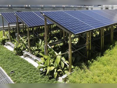 How green building design can help take heat off Hong Kong