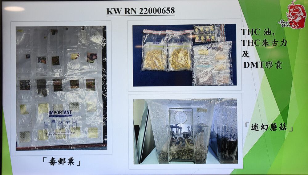 Police arrest self-taught drug cook in HK$4m psychedelics bust