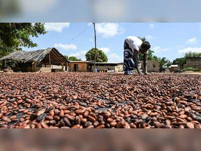 Who’s going to pay for an ethical chocolate bar?