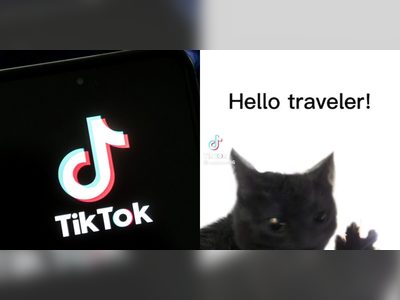 The Dabloon economy is the latest craze engulfing TikTok: from inflation and debt, to thieves and factions