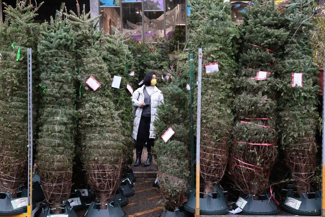 Hong Kong’s Christmas tree demand has withered. What’s the root cause?