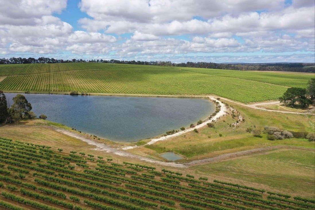 CK Life Sciences buys 182-hectare Australian vineyard for US$7.3 million