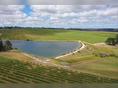 CK Life Sciences buys 182-hectare Australian vineyard for US$7.3 million