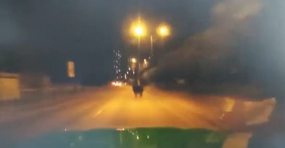 Cabbie arrested after cattle killed in hit-and-run on Sha Tau Kok Road