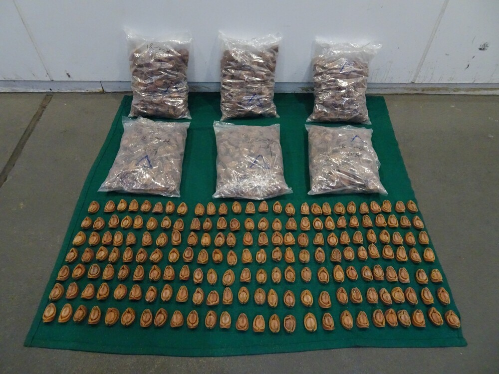 Customs seizes HK$2m worth of dried abalone in anti-smuggling operation