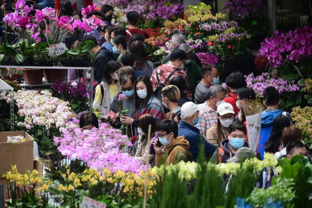 Special traffic arrangements for Mong Kok Flower Market starting from TUE
