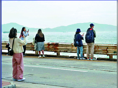 Push to simplify procedures for harborfront projects