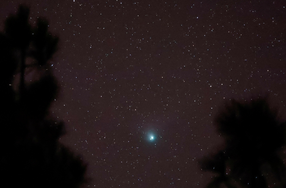 Green comet may be visible in Hong Kong skies tonight