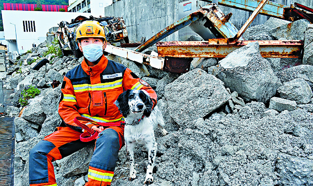 HK quake rescuers hail search-dog heroes