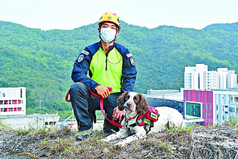 HK quake rescuers hail search-dog heroes