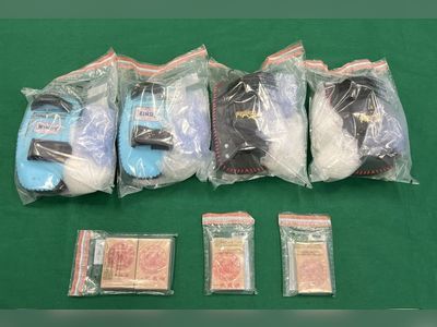 3 Hong Kong teenage boys arrested after customs finds narcotics worth HK$3 million