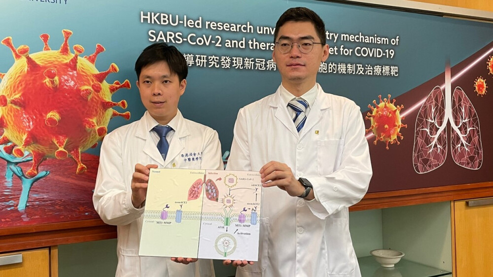 Scientists find therapeutic target for Covid