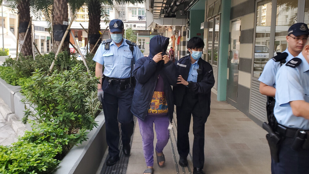 Woman arrested in Shek Kip Mei for cat-cooking horror