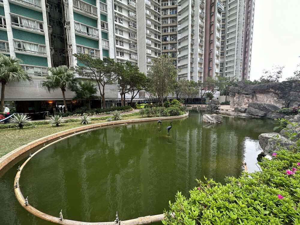 Suspectedly drunk man falls into pond and drowns in South Horizons