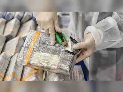 Cocaine production reaches record levels as new trafficking hubs emerge